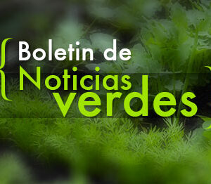 NOTICIAS NEGOCIOS VERDES