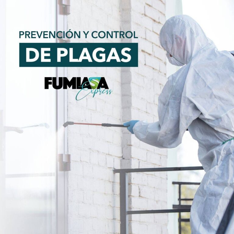 118172053 177491647172188 7727811673725659899 n 768x768