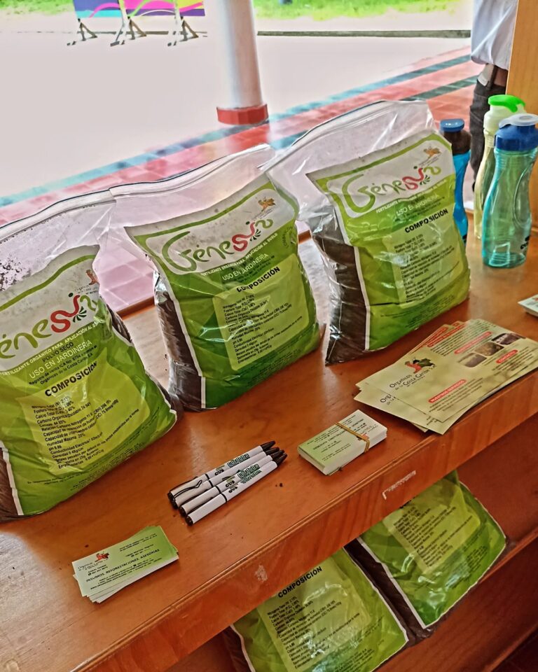 484969187 1176824344146857 8243146403618782290 n 768x960