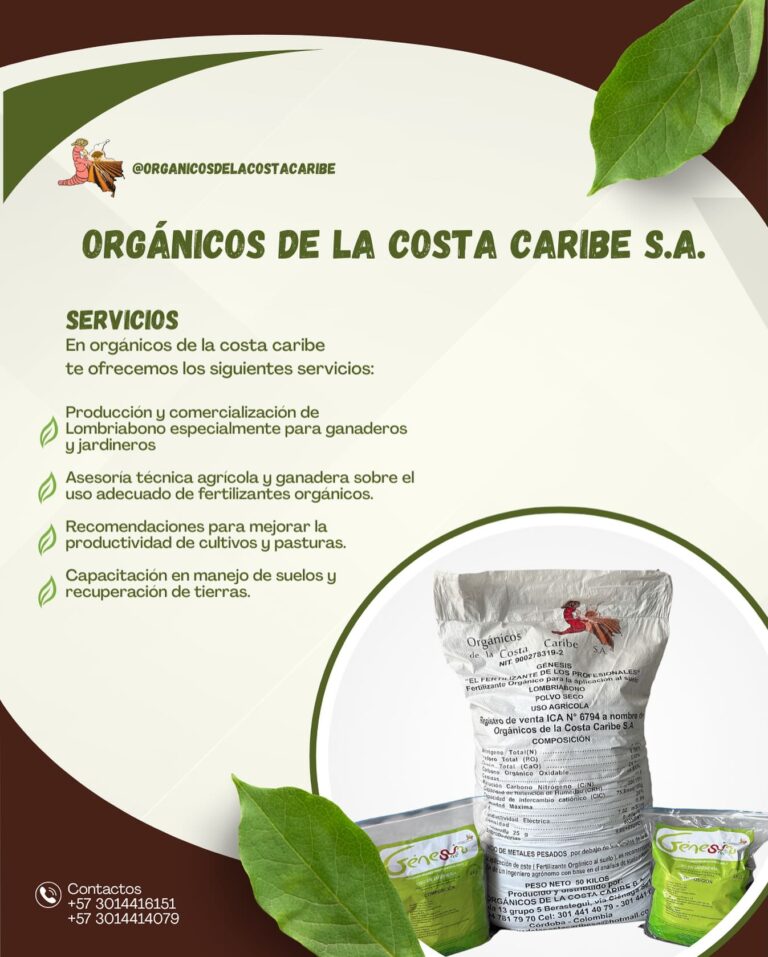 562651405 18286845130277608 4906913264071685708 n 768x957