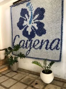 CAYENA5 225x300 1