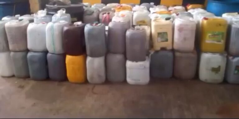 196e2029 5f23 4eda 9b7b 2a37435cd482 768x385