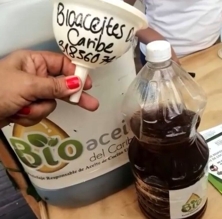 7d3abeaa 583b 452d a0ae 4255b0731d92 768x758