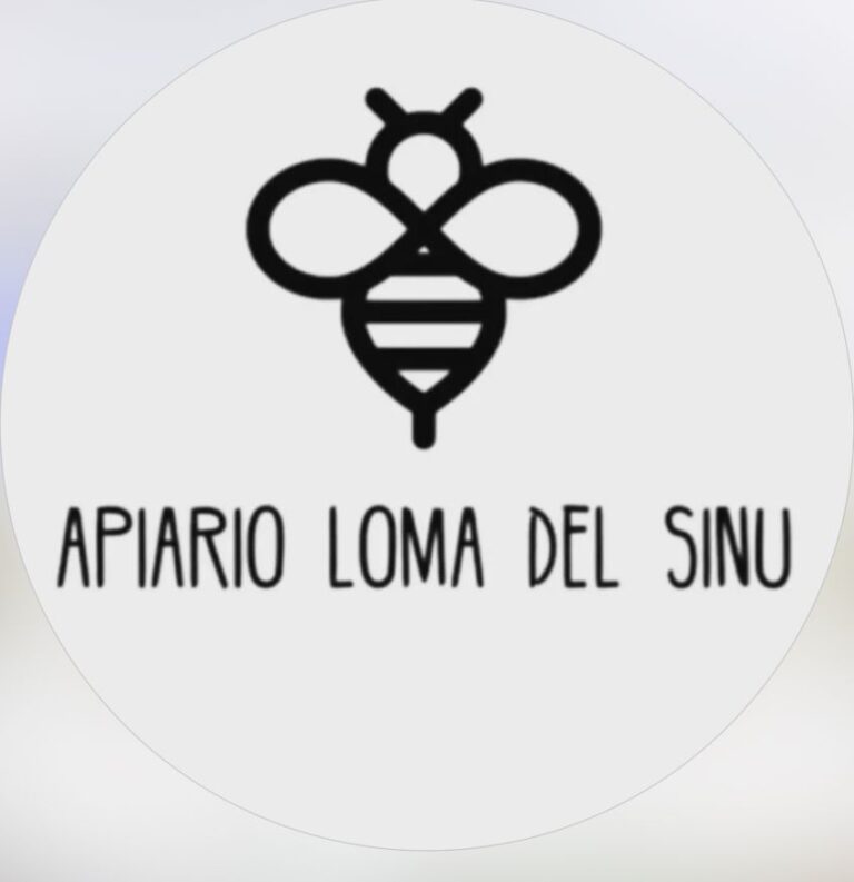 LOGO 4 768x793
