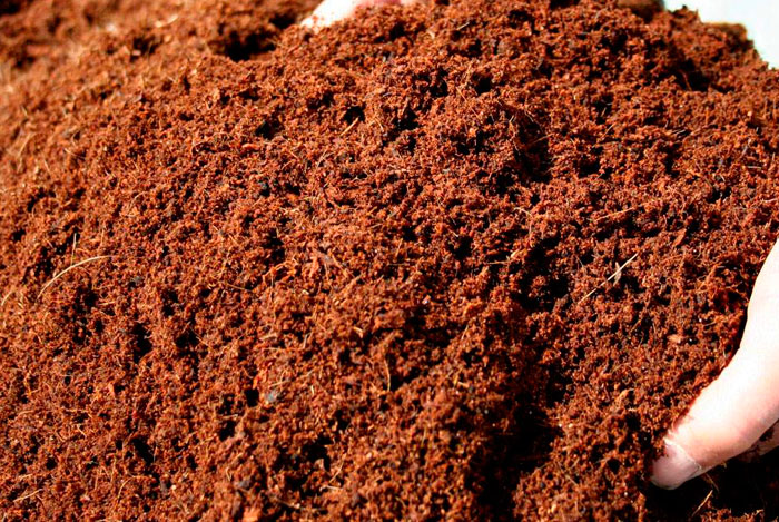 fibra de coco para jardineria