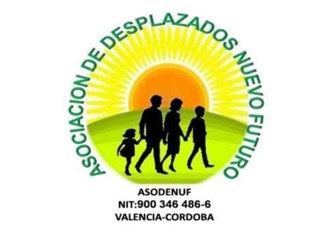 466682278 122192611946143101 1720575242559489135 n